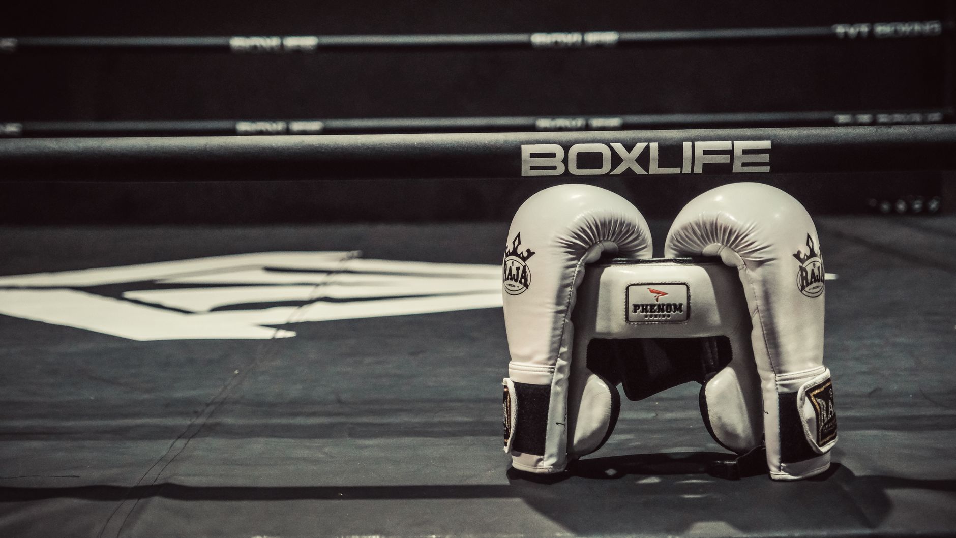 Box Club Valladolid — boxeo en Valladolid (foto 3)