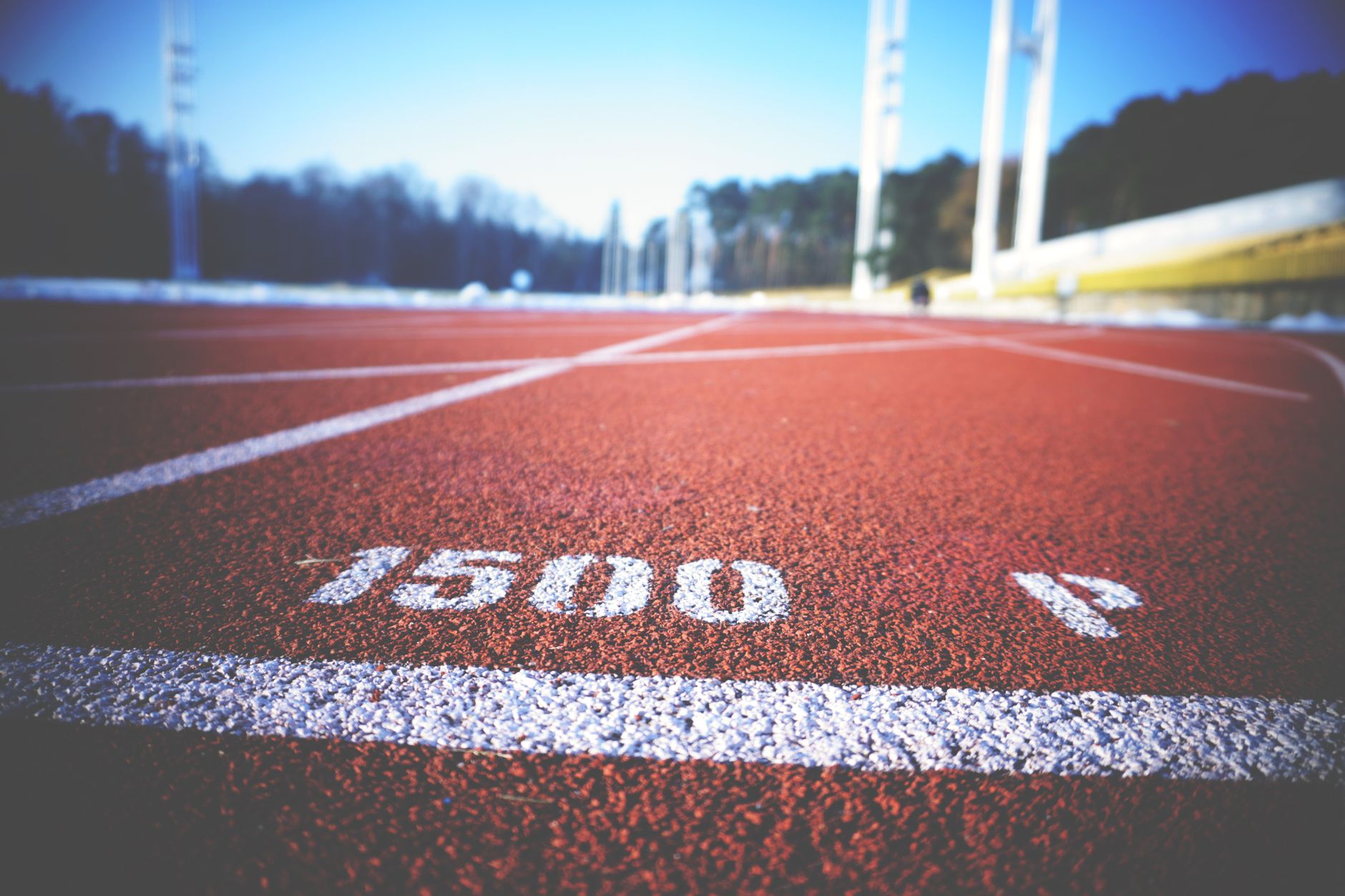 Complejo Deportivo Adarraga — atletismo y deportes al aire libre en Logroño