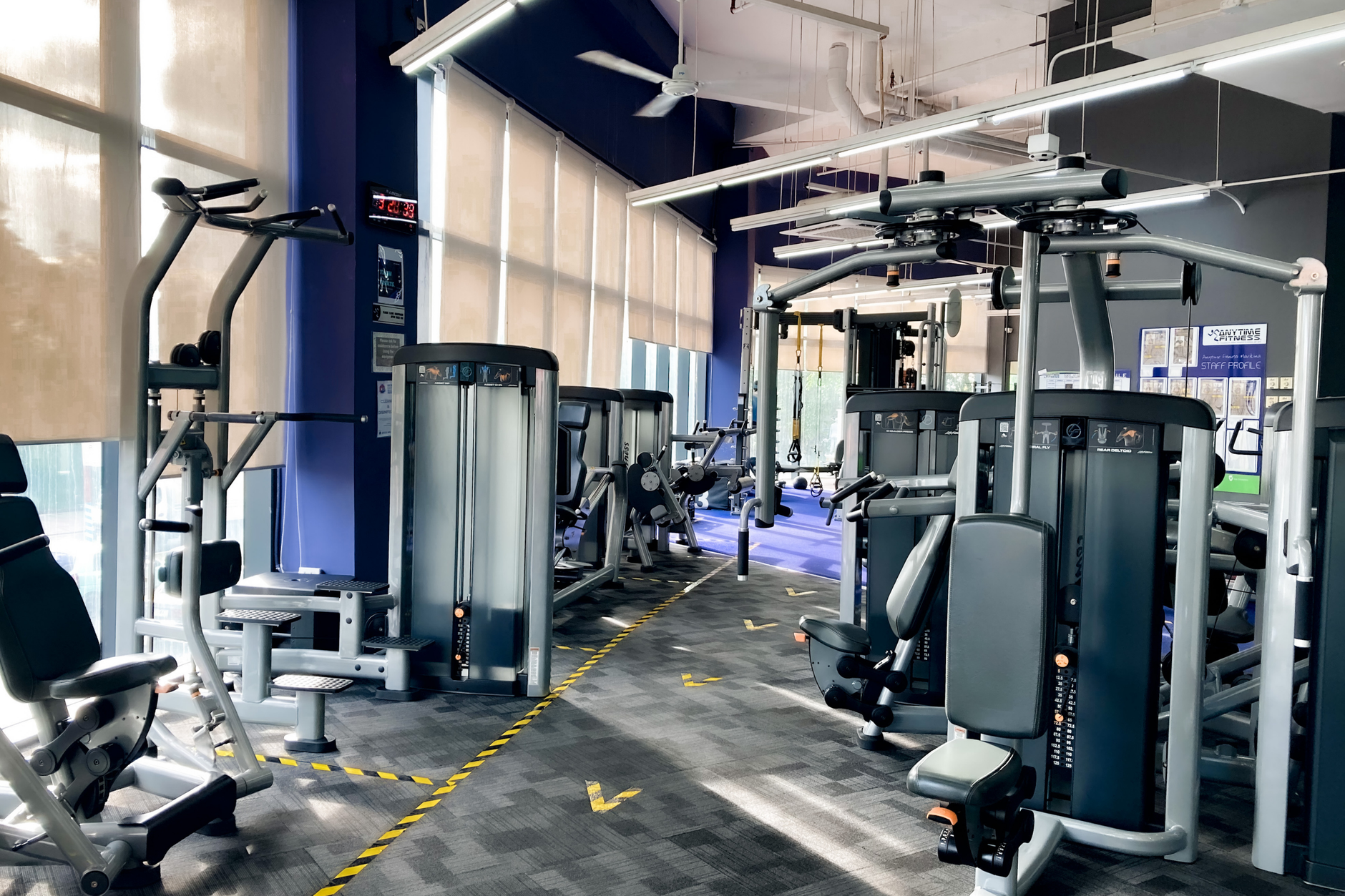 Gimnasio Evm Equipo De Volteo Madrid  Boadilla del Monte
