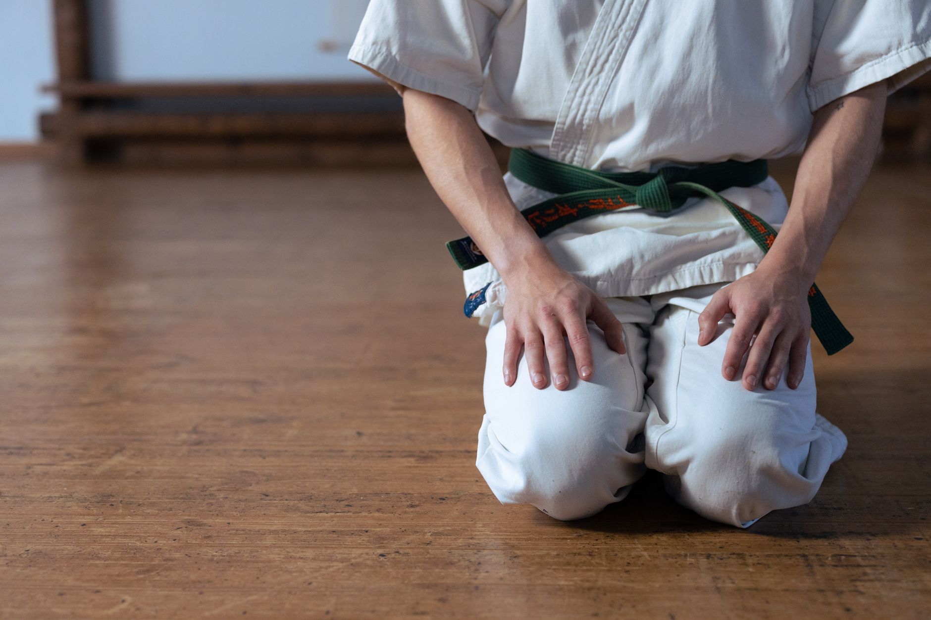 Kempo Aiki-jutsu Itami Dojo — Salamanca (foto 1)