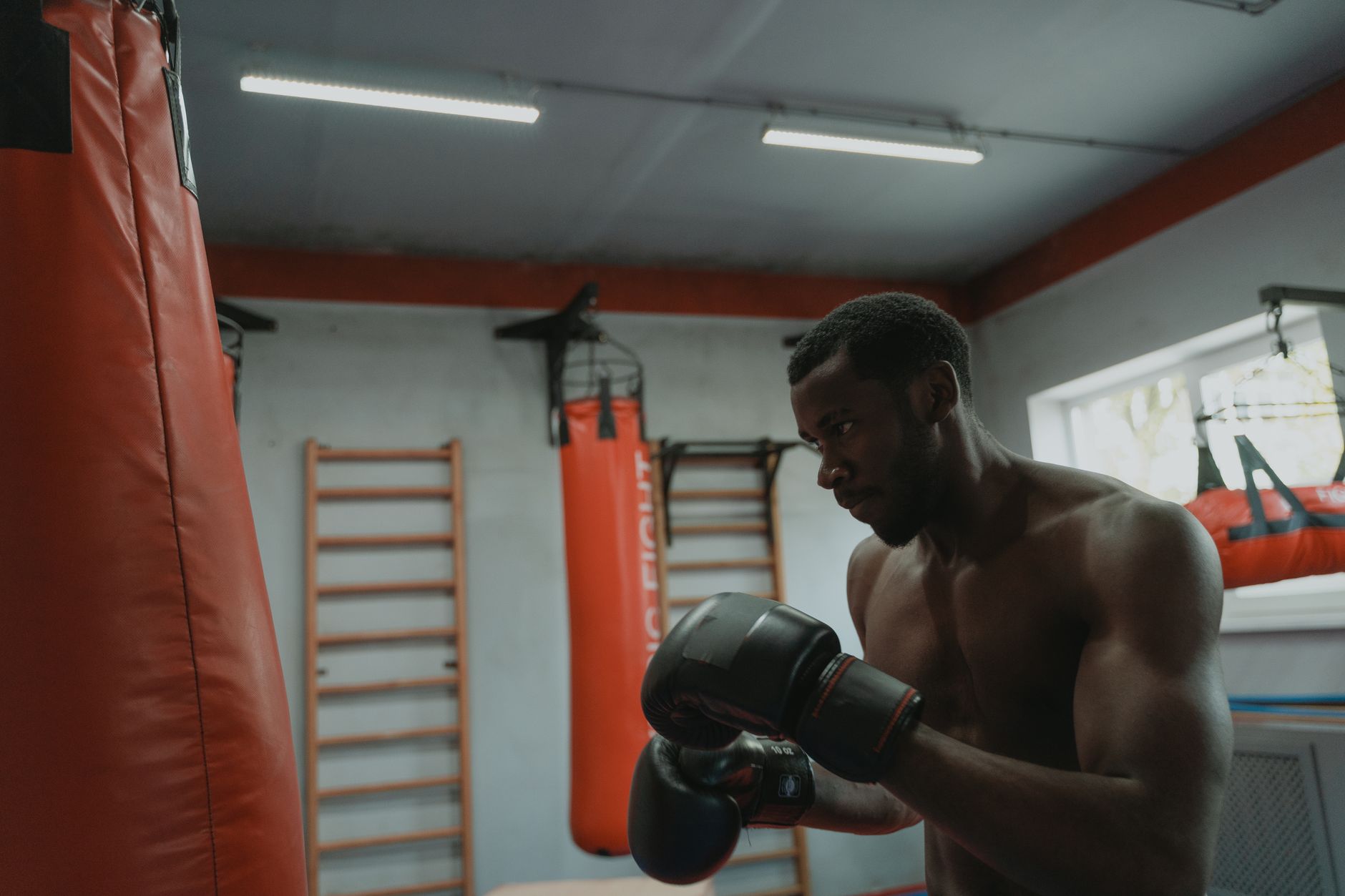Pugilismo Castilla Valladolid — boxeo en Valladolid (foto 2)