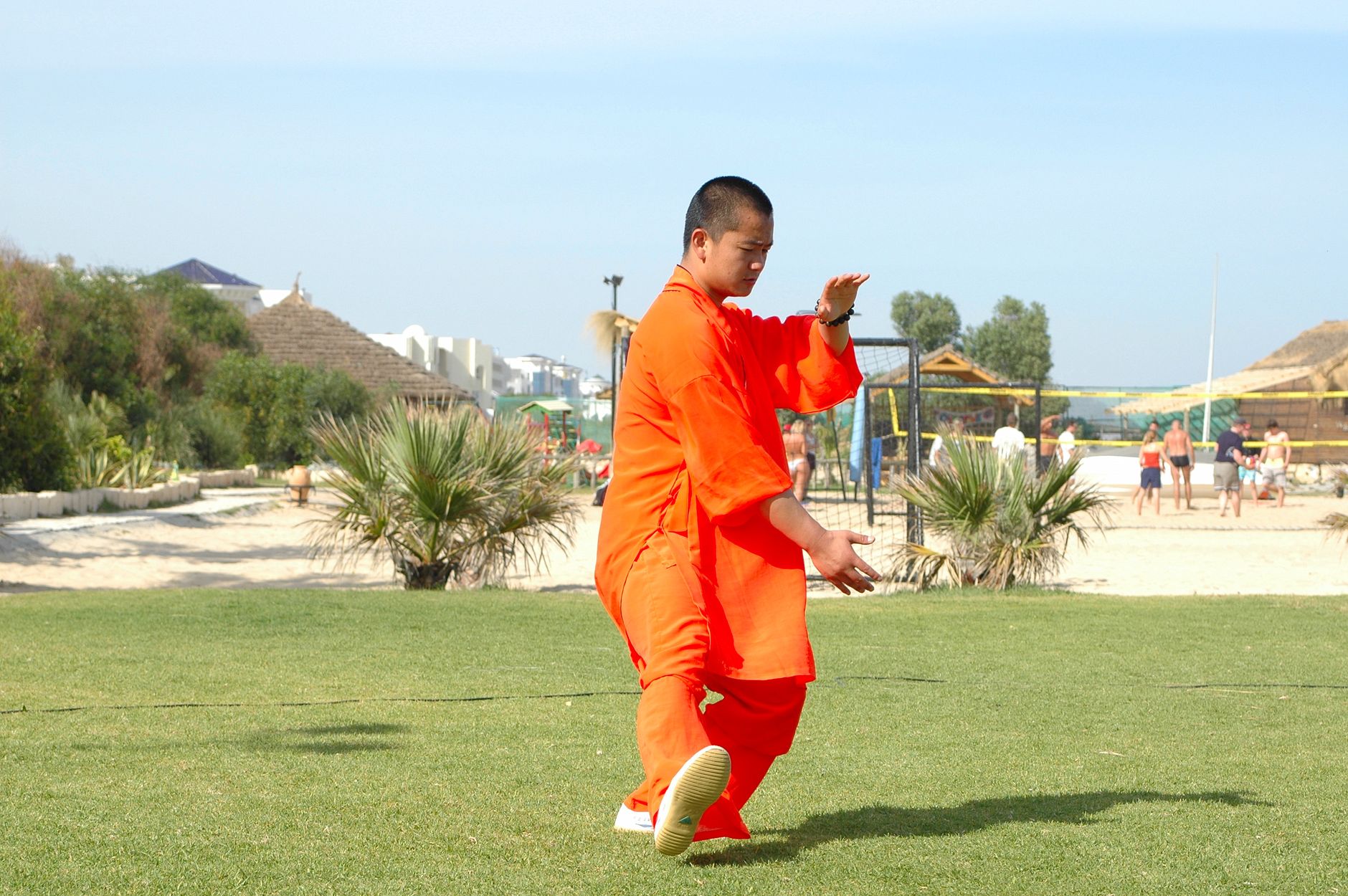 Shaolin Dragon — Logroño (foto 1)