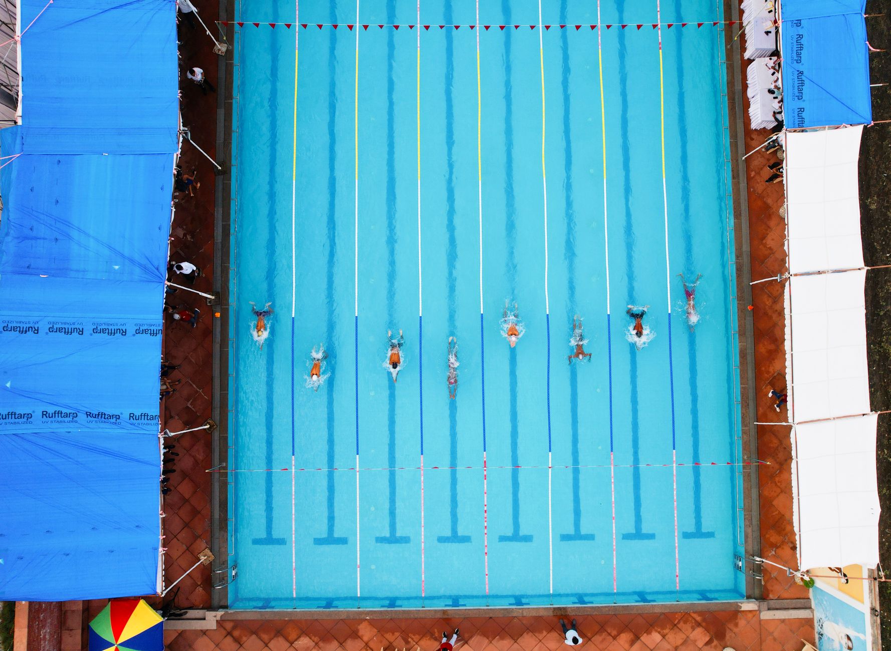 Piscina olímpica de natación con líneas demarcadas