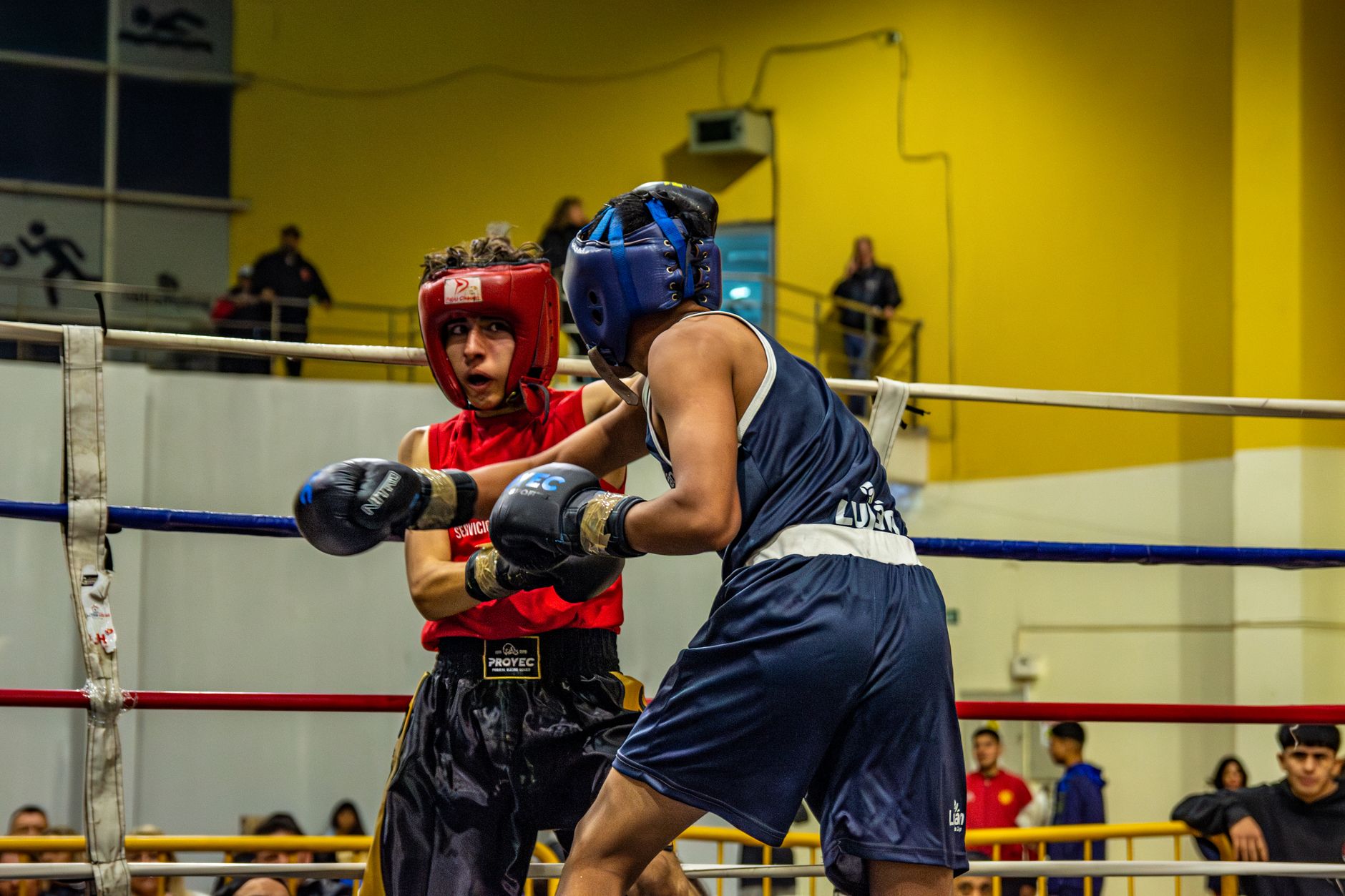 Ring de boxeo