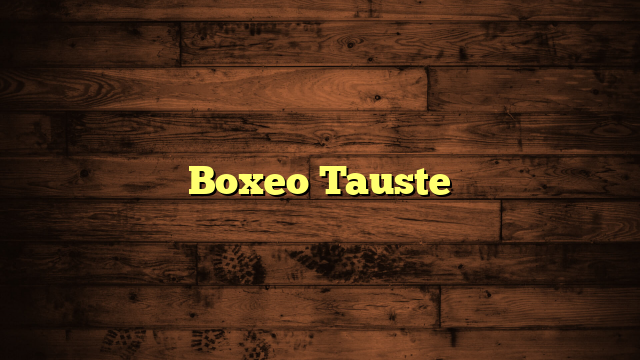 Boxeo Tauste