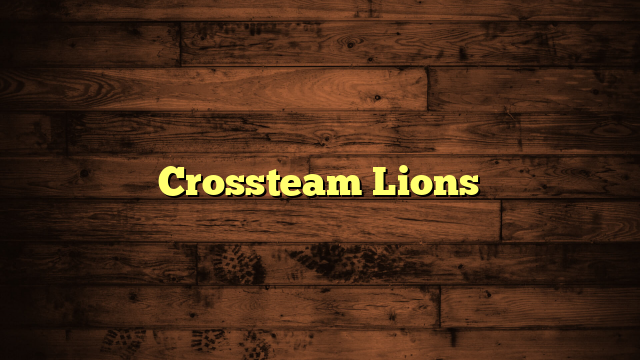 Crossteam Lions