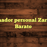 Entrenador personal Zaragoza Barato