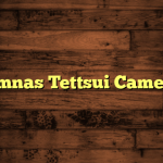 Gimnas Tettsui Camelia