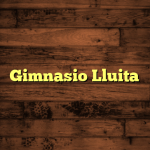 Gimnasio Lluita