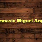 Gimnasio Miguel Angel