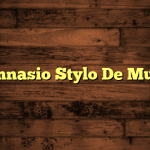 Gimnasio Stylo De Mujer