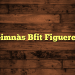 Gimnàs Bfit Figueres