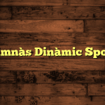 Gimnàs Dinàmic Sport