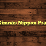 Gimnàs Nippon Prat