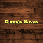 Gimnàs Savas