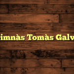 Gimnàs Tomàs Galve