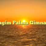 Imagim Palma Gimnasio