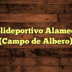 Polideportivo Alameda (Campo de Albero)