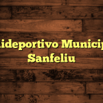 Polideportivo Municipal Sanfeliu